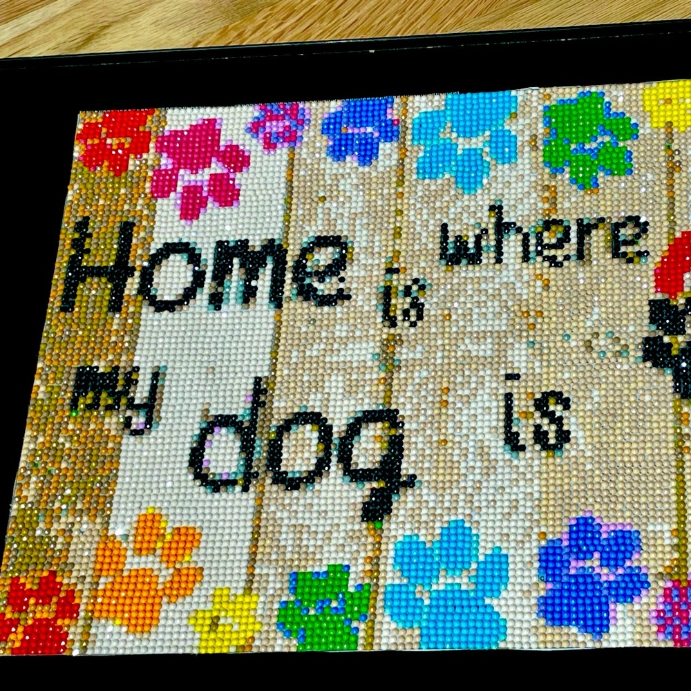 🌹MOSAIC DIAMOND DOT ART Adorable Handmade mini bead HOME IS WHERE THE DOG IS